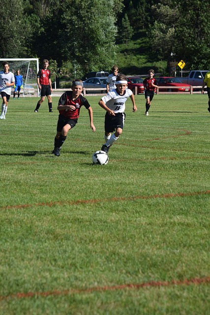 使他成为教 使他成为教