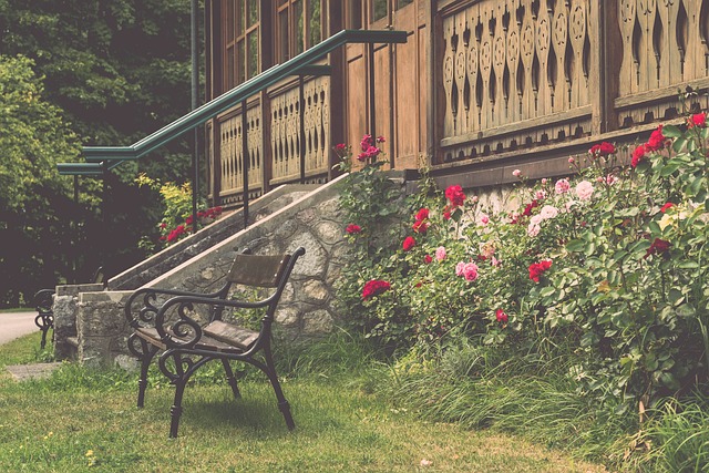 科学的数据 科学的数据